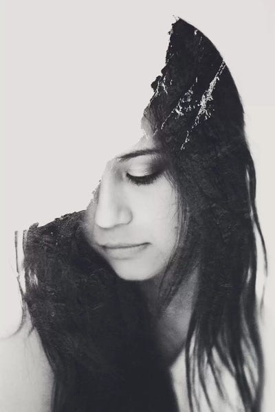 Double Exposure Photography: Exposure I by Taylor Allen