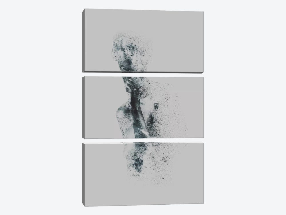 Ashes by Taylor Allen 3-piece Canvas Art
