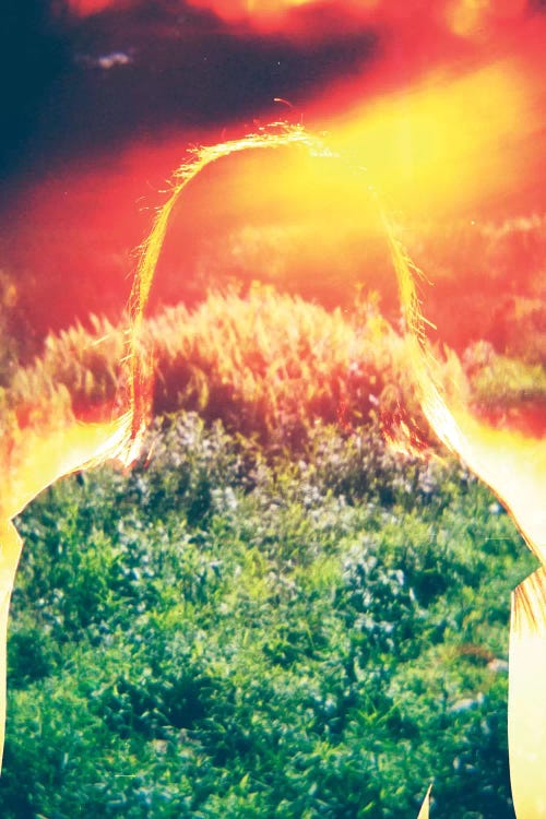 Exposure V by Taylor Allen wall art