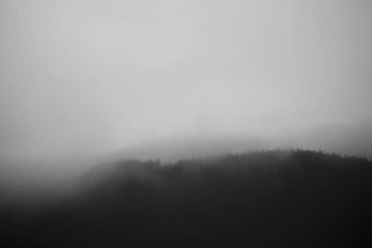 Fundy At Dusk by Taylor Allen wall art