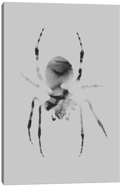 Kiss Canvas Art Print - Insect & Bug Art
