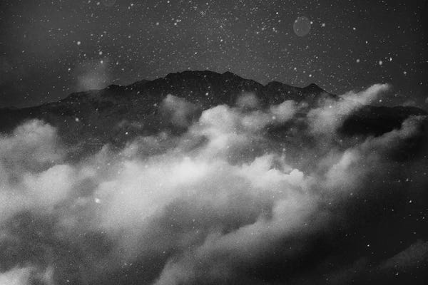 Lemurs: Lemuria by Taylor Allen