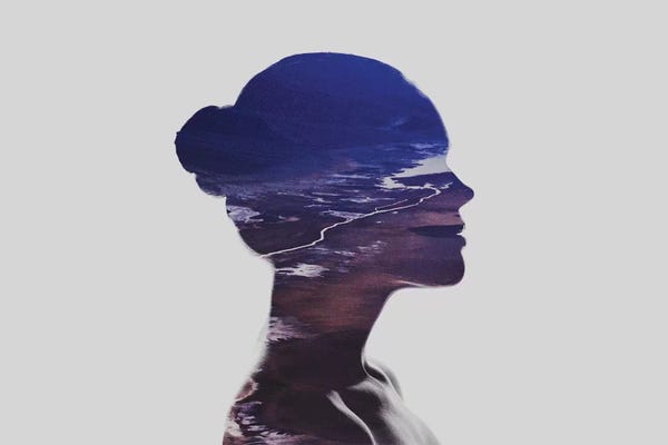 Double Exposure Photography: Silhouette V by Taylor Allen