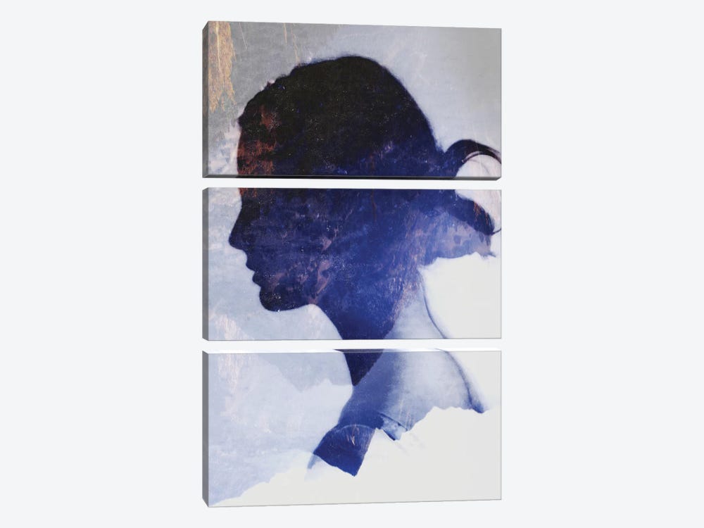 Silhouette VII by Taylor Allen 3-piece Art Print