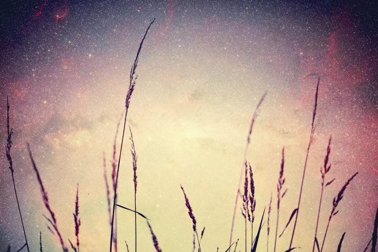 Astronautography VI by Taylor Allen wall art