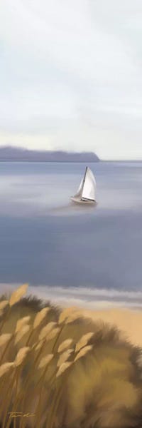 Coastal Sand Dunes: Indian Summer by Tandi Venter