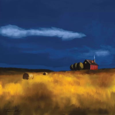 My House by Tandi Venter canvas print