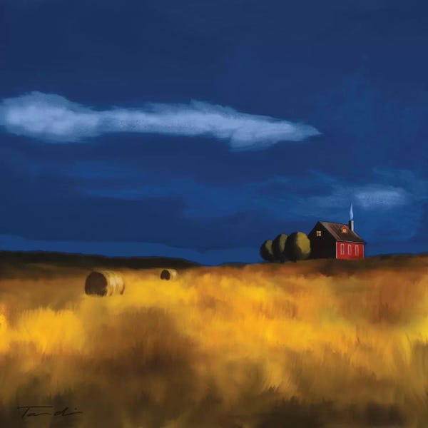 Indigo: My House by Tandi Venter