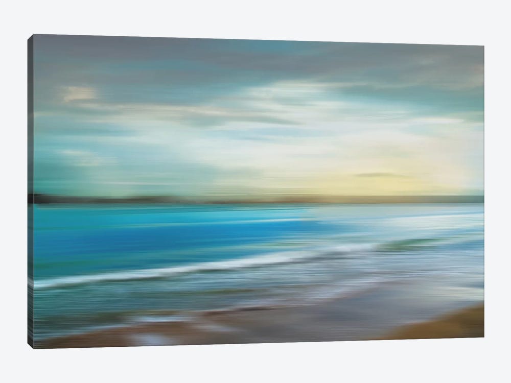 Ocean Plains by Tandi Venter 1-piece Canvas Artwork