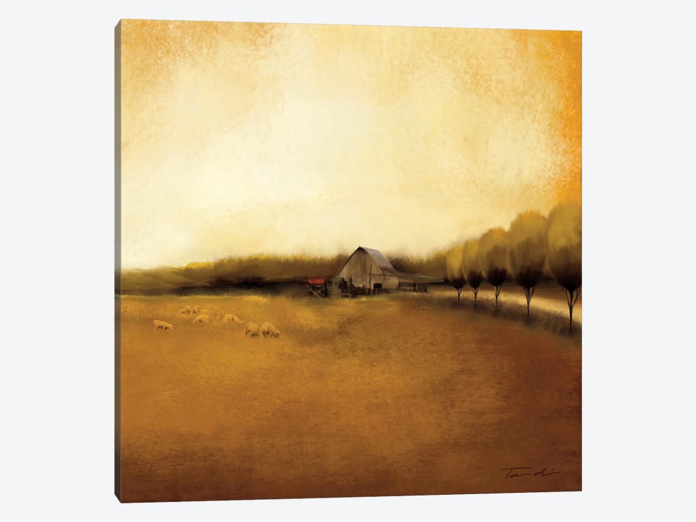 Rural Landscape I by Tandi Venter 1-piece Canvas Art Print
