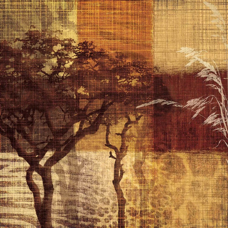 Safari III by Tandi Venter wall art