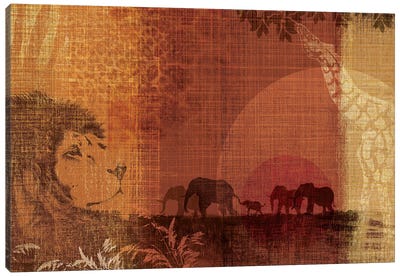 Safari Sunset II Canvas Art Print - Tandi Venter
