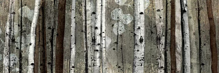 Silver Lining by Tandi Venter wall art