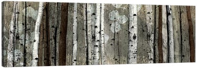 Silver Lining Canvas Art Print - Aspen and Birch Trees