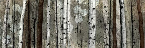 Silver: Silver Lining by Tandi Venter