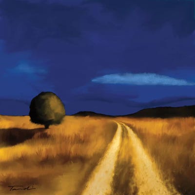 The Way Home by Tandi Venter framed canvas print