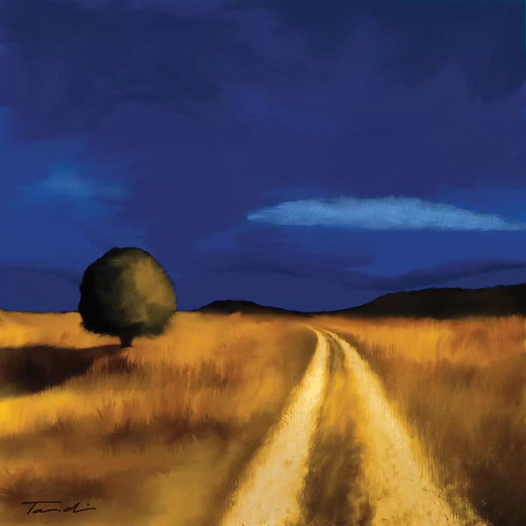 The Way Home by Tandi Venter wall art