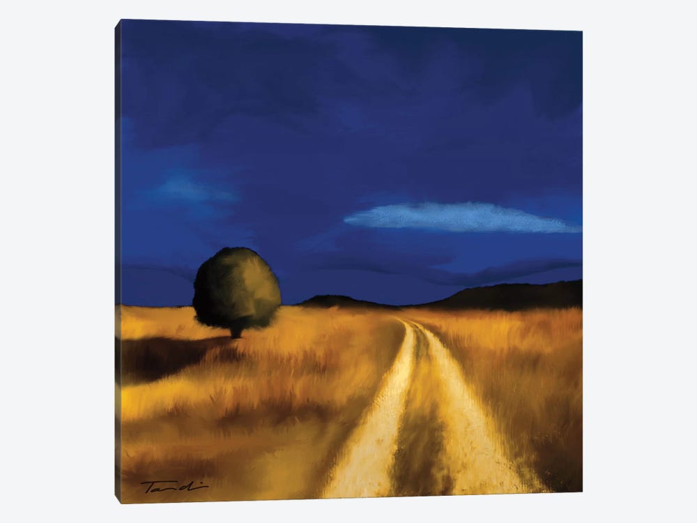The Way Home by Tandi Venter 1-piece Canvas Art