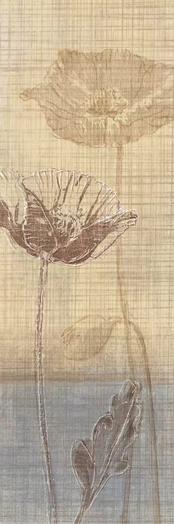 Botanical Sketchbook I