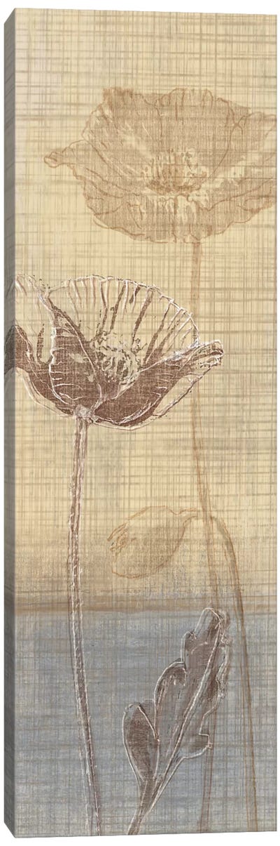 Botanical Sketchbook I Canvas Art Print - Tandi Venter