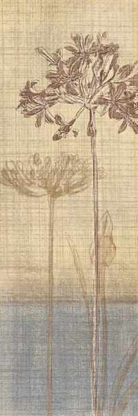 Modern Farmhouse Bedroom: Botanical Sketchbook II by Tandi Venter