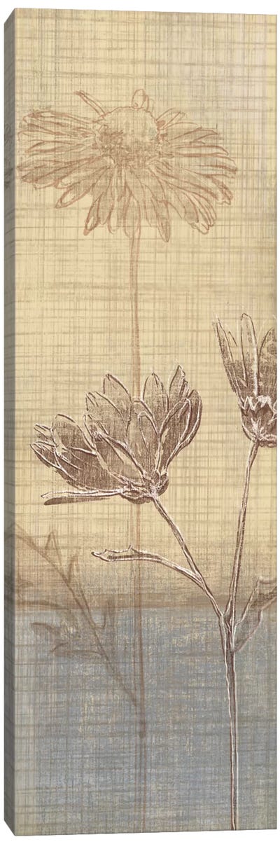 Botanical Sketchbook III Canvas Art Print - Tandi Venter