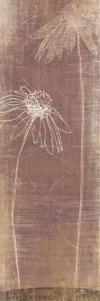 Daisies: Buon Fresco II by Tandi Venter