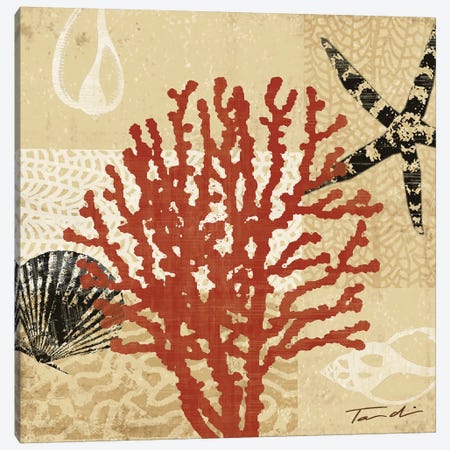 Coral Impressions III Canvas Print #TAN55} by Tandi Venter Canvas Artwork