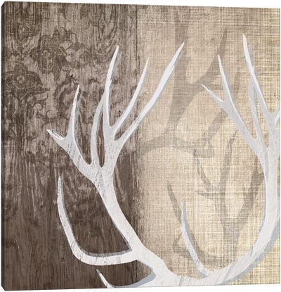 Deer Lodge I Canvas Art Print - Evergreen & Burlap
