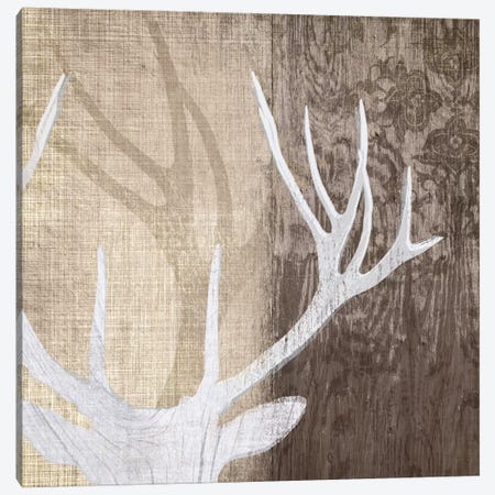 Deer Lodge II Canvas Print #TAN63} by Tandi Venter Canvas Artwork