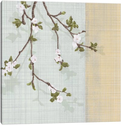 First Sign Of Spring II Canvas Art Print - Almond Blossoms