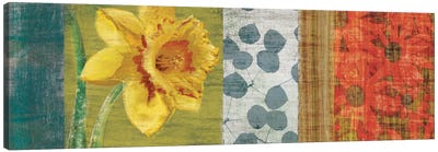 Garden Collection I Canvas Art Print - Daffodil Art