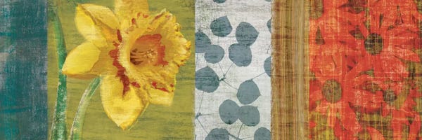 Daffodils: Garden Collection I by Tandi Venter
