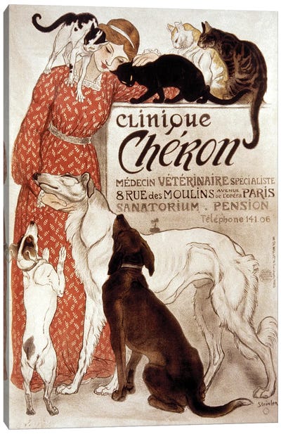 French Veterinary Clinic. Canvas Art Print - Cat Art