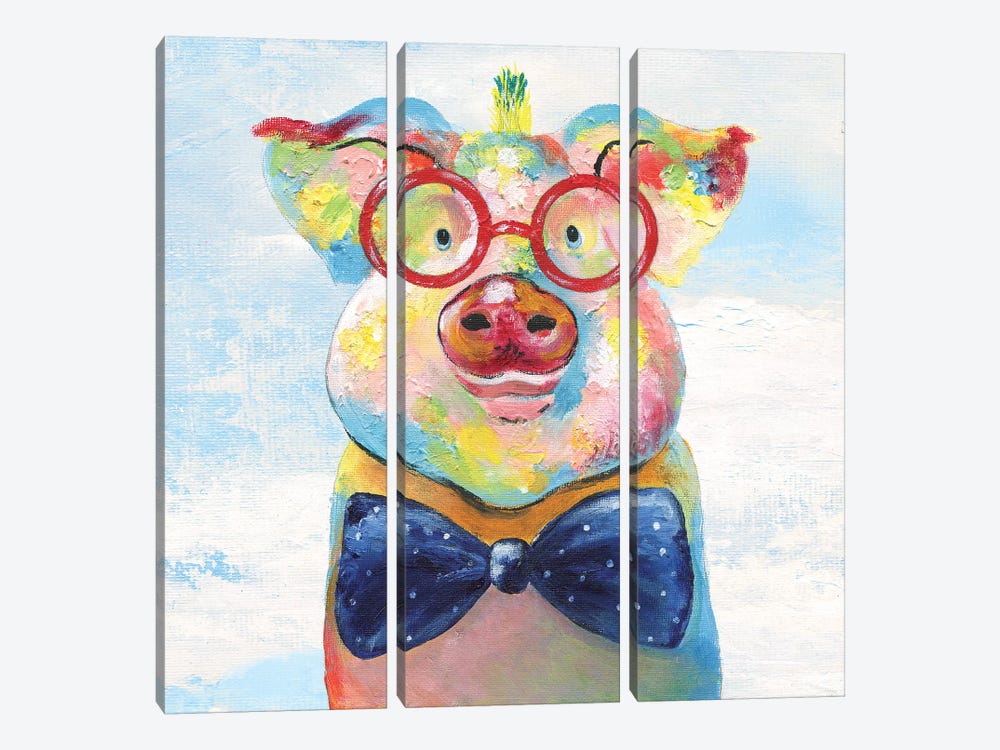 Groovy Pig and Sky by Tava Studios 3-piece Canvas Art