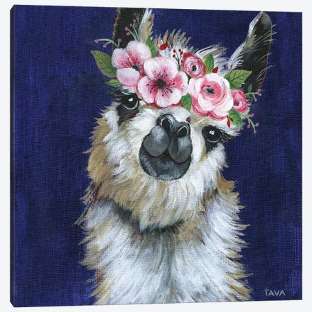 Lady Llama Canvas Print #TAV113} by Tava Studios Canvas Print