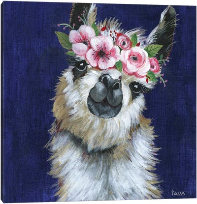 Lady Llama Canvas Art Print - Indigo Art