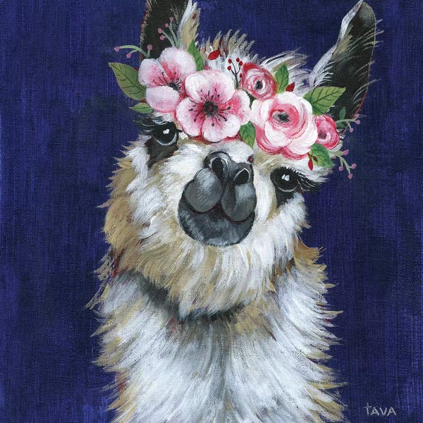 Llamas & Alpacas: Lady Llama by Tava Studios