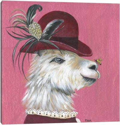 Llama and Bee Canvas Art Print - Llama & Alpaca Art