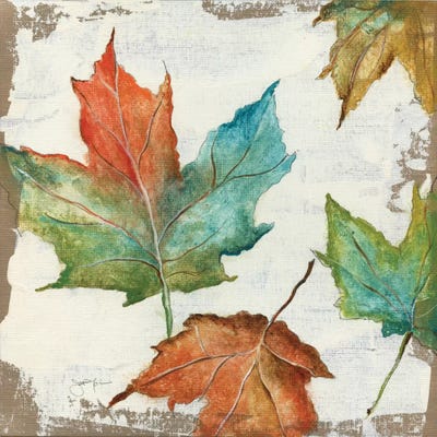 Fall Leaves by Tava Studios framed canvas print