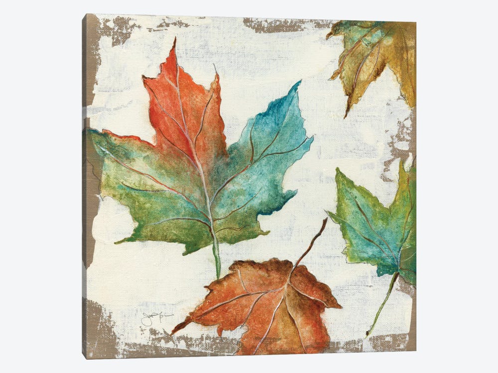 Fall Leaves by Tava Studios 1-piece Canvas Artwork