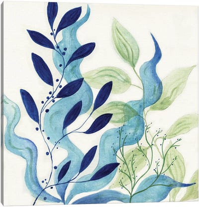 Blue Coral I Canvas Art Print - Tava Studios