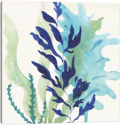 Blue Coral II Canvas Art Print - Kids Ocean Life Art