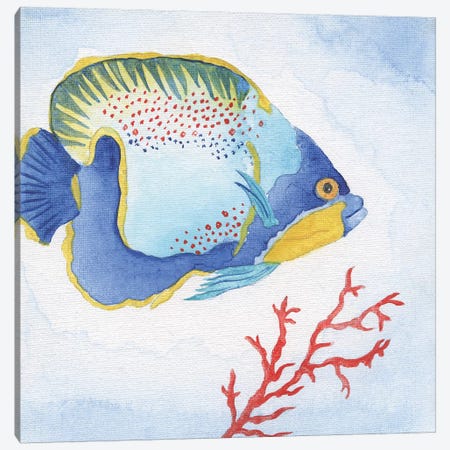 Galapagos Fish I Canvas Print #TAV137} by Tava Studios Canvas Art