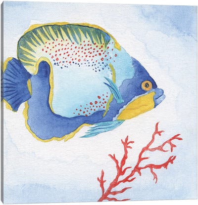 Galapagos Fish I Canvas Art Print - Blue Tropics