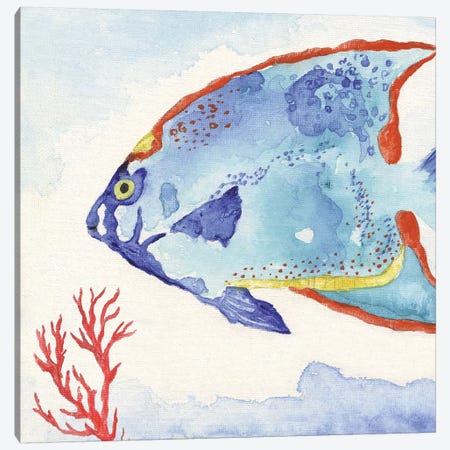 Galapagos Fish II Canvas Print #TAV138} by Tava Studios Canvas Print