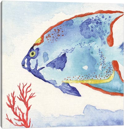 Galapagos Fish II Canvas Art Print
