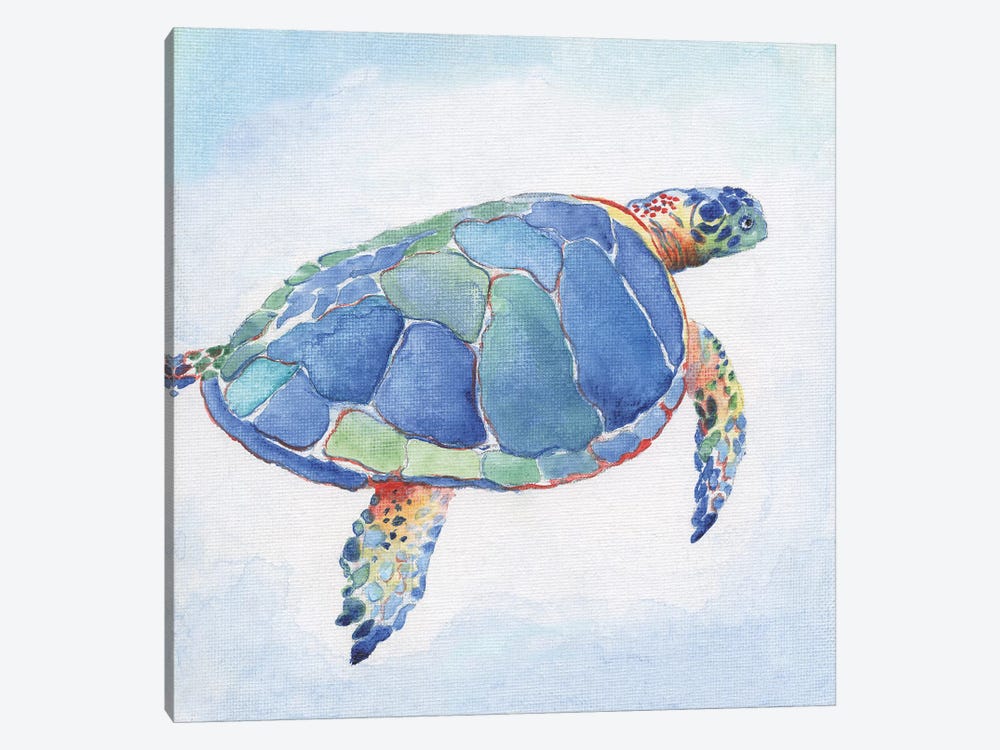 Galapagos Sea Turtle I by Tava Studios 1-piece Canvas Artwork
