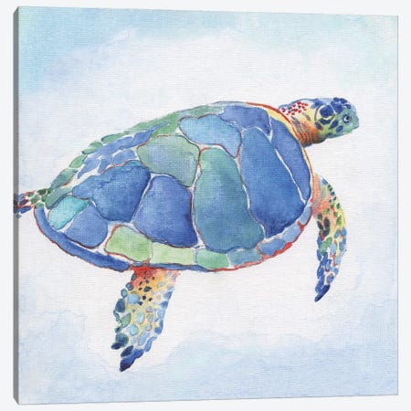 Galapagos Sea Turtle I Canvas Print #TAV139} by Tava Studios Art Print
