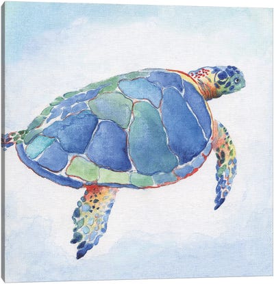 Galapagos Sea Turtle I Canvas Art Print - Reptile & Amphibian Art